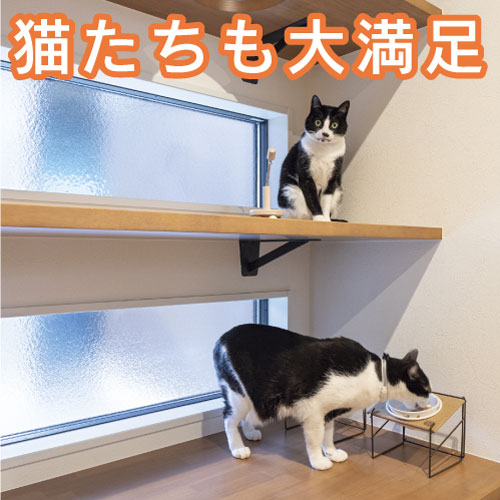 投稿例3