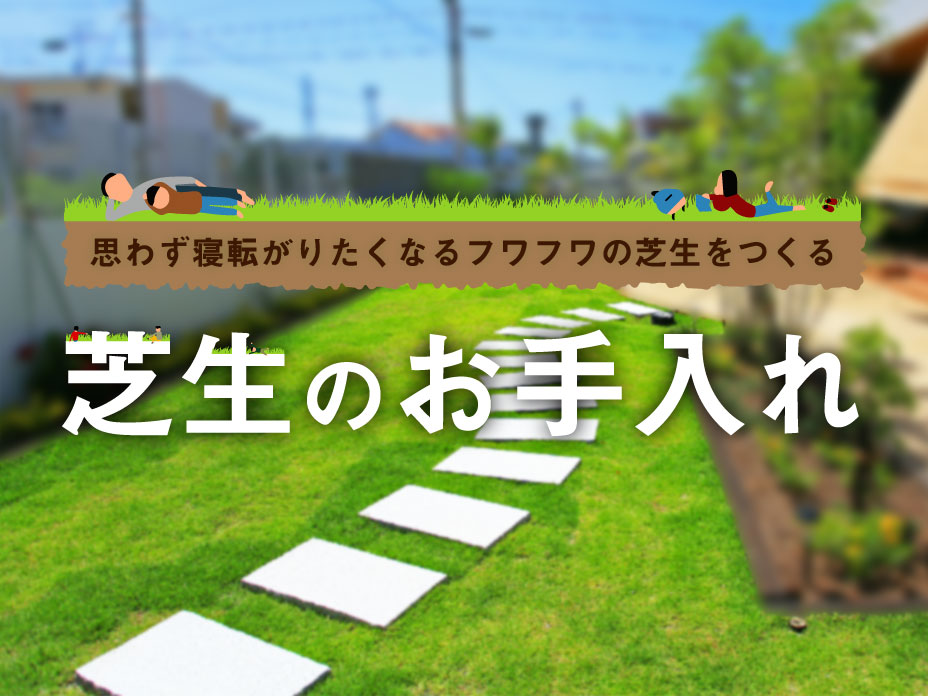 フワフワの芝生をつくる 芝生のお手入れ Club Noble フワフワの芝生をつくる 芝生のお手入れ Club Noble